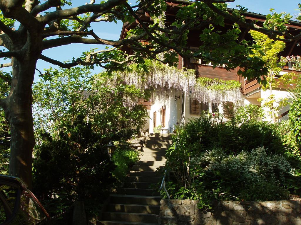 Niederried bei Interlaken Ferienwohnung Selinda מראה חיצוני תמונה